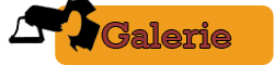 Galerie